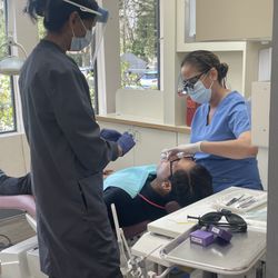 Treat Boulevard Dentistry - Treat Boulevard Dentistry, Ritu Sood DDS, Best Dentist in Walnut Creek, (925)939-9177 (925)660-7443 Call us to scheduled an appointment