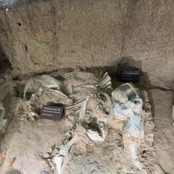 Waco Mammoth National Monument - Museums Near Me - Waco, Texas