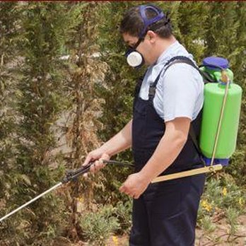 Reliable Pest Control - 2 - Pest Control Near Me - Easton, Maryland Reliable Pest Control - 2 - Pest Control Near Me - Easton, Maryland