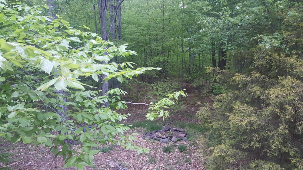 VILLAGE OF WOODRIDGE Updated September 2024 2 Dairyland Rd