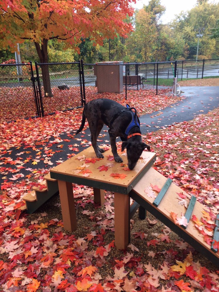 PAWS PARK OF GREENFIELD Updated September 2024 22 Petty Plain Rd