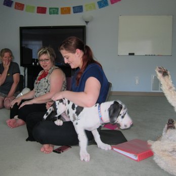 Boulder Massage Therapy Institute - Animal massage class at the Boulder Massage Therapy Institute, Boulder, CO, United States - Massage Schools Near Me - Boulder, Colorado Boulder Massage Therapy Institute - Animal massage class at the Boulder Massage Therapy Institute, Boulder, CO, United States - Massage Schools Near Me - Boulder, Colorado