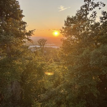 Big Woody's Tree Service - Prior to removal - Tree Services Near Me - Chattanooga, Tennessee Big Woody's Tree Service - Prior to removal - Tree Services Near Me - Chattanooga, Tennessee