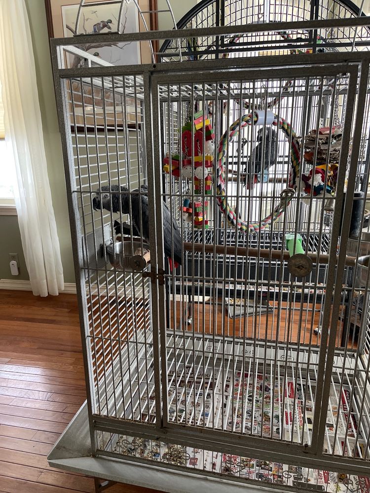 JUST FOR PARROTS Updated September 2024 1943 S Glenstone Ave