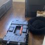 American Mold Inspections