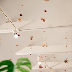 Paisley’s Tea Room - Paisley's Tea Room Dried Flowers