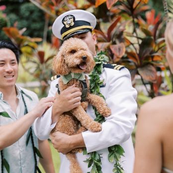 Haiku Gardens Weddings - Venues & Event Spaces Near Me - Kaneohe, Hawaii Haiku Gardens Weddings - Venues & Event Spaces Near Me - Kaneohe, Hawaii
