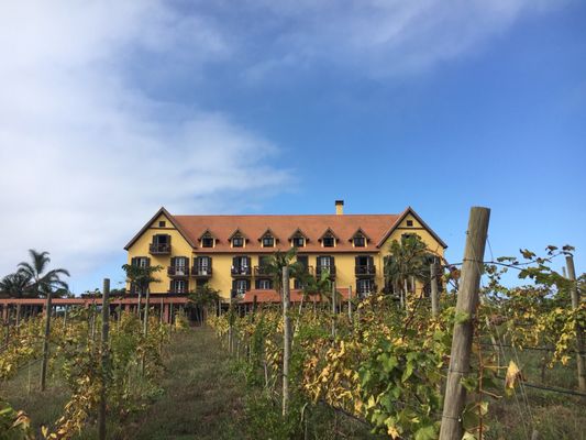 Hotel Quinta do Furão by null