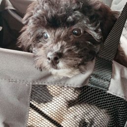 1st day she came home 1st day she came home