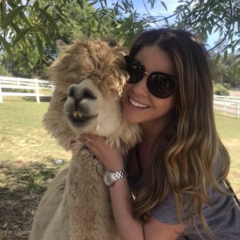 Canzelle Alpacas - Farms Near Me - Carpinteria, California Canzelle Alpacas - Farms Near Me - Carpinteria, California