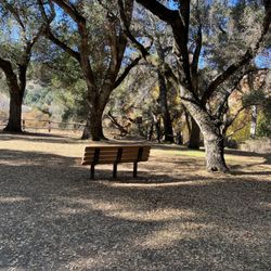 Tony Look Trail - Benches along the trail