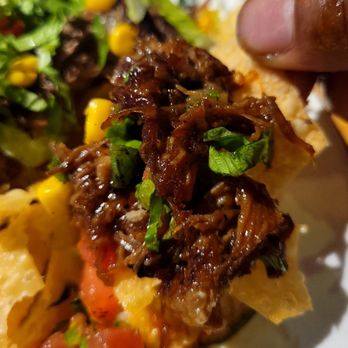 Taqueria Tsunami - Temp Closed - Asian nachos - Asian Fusion Near Me - Roswell, Georgia