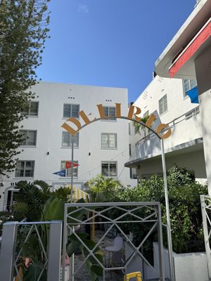 Viajero Miami by null