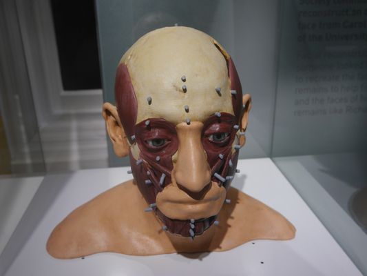 King Richard III Visitor Centre by null