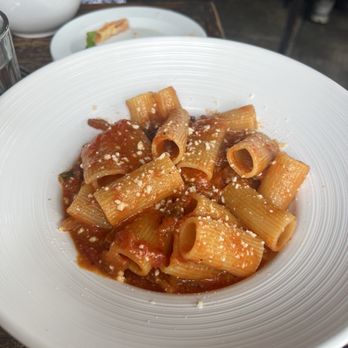 Molto Trattoria - Rigatoni Amatriciana - imported Italian rigatoni with Guanciale, tomato sauce and Pecorino Romano - Italian Near Me - Naples, Florida