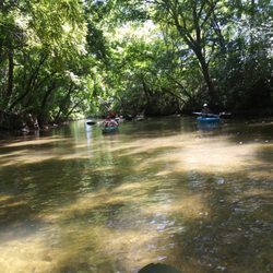 Kruis'n Kayak Adventures