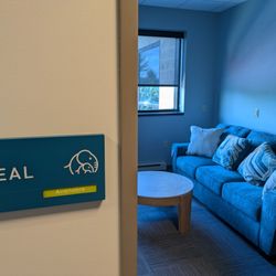 Ellie Mental Health