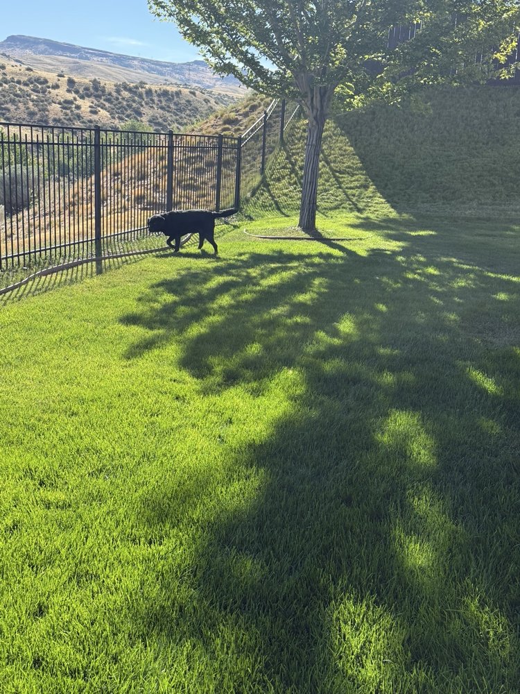 Green Services - tree service in Boise, ID