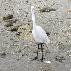 Fishing charters, Charter boat fishing, Fishing trips, Fishing Guide