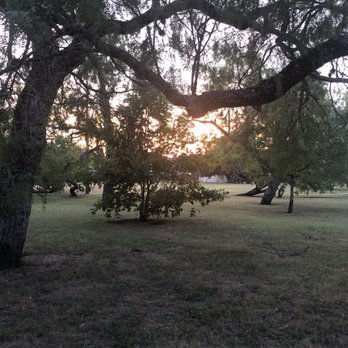 Northridge Park - Beautiful trees! - Parks Near Me - San Antonio, Texas Northridge Park - Beautiful trees! - Parks Near Me - San Antonio, Texas