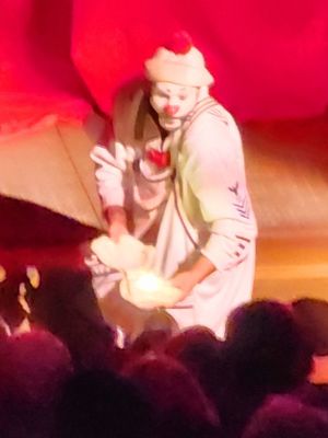 "O" by Cirque du Soleil by null