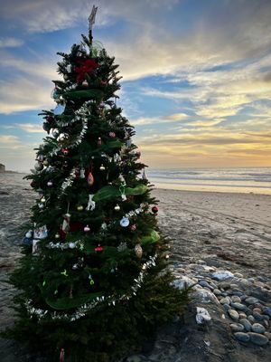 Cardiff State Beach by null