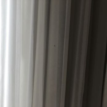 Fairfield Inn & Suites Warner Robins - Stained curtains - Hotels Near Me - Warner Robins, Georgia Fairfield Inn & Suites Warner Robins - Stained curtains - Hotels Near Me - Warner Robins, Georgia