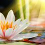 Photo of Emerald Coast Hypnosis & Wellness