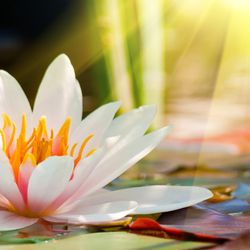 Emerald Coast Hypnosis & Wellness