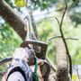 Photo of Austin Tree Specialists
