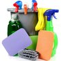 Big Green Cleaning Services