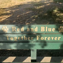 Off the leash Dog Park