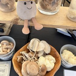Valencia FivePoint Farmers Market - Mushroom medley