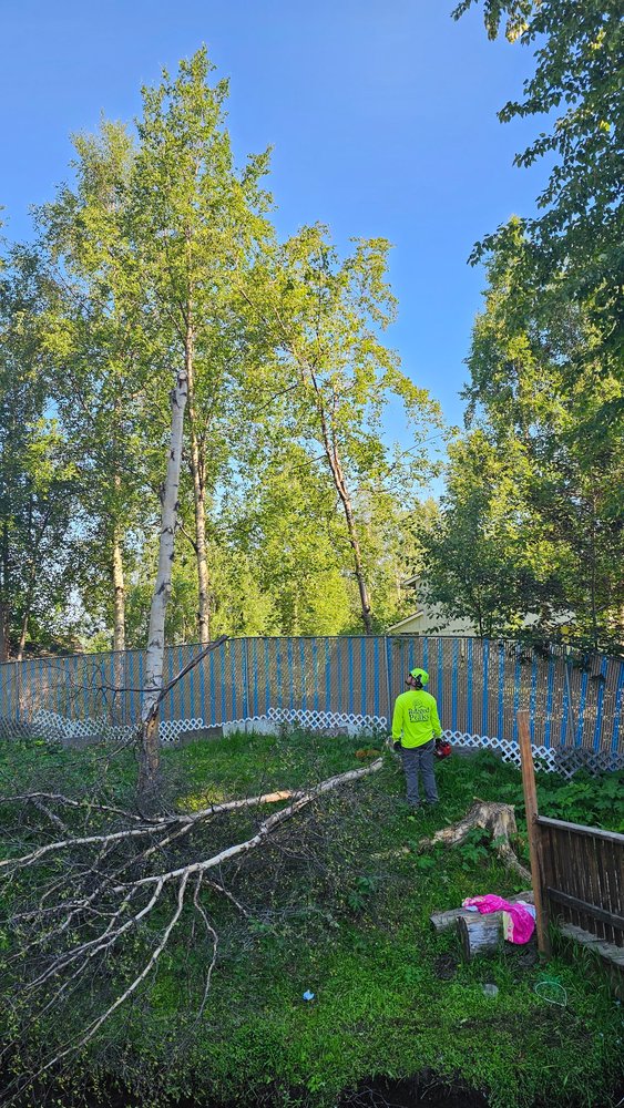 Rugged Peaks - tree service in Anchorage, AK