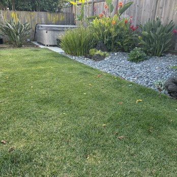 McHale's Gardening Service - McHale's gardening did my lawn. He did a great job. Dialed in the sprinklers as well. - Gardeners Near Me McHale's Gardening Service - McHale's gardening did my lawn. He did a great job. Dialed in the sprinklers as well. - Gardeners Near Me