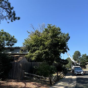 J & J Tree Care - Side view of truck and tree bank. - Tree Services Near Me - Denver, Colorado J & J Tree Care - Side view of truck and tree bank. - Tree Services Near Me - Denver, Colorado