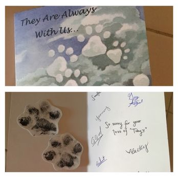 Armstrong Pet Hospital - A kind and unexpected gesture after the loss of our Toby - Veterinarians Near Me - Clovis, California