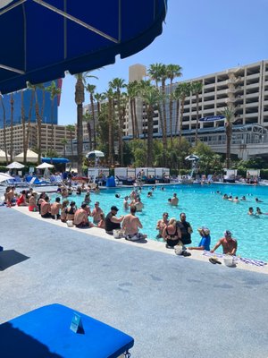 Blu Pool at Horseshoe Las Vegas by null