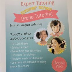 Expert Tutoring