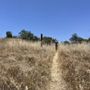 Photo of Toyon Trail