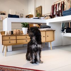 DearGoods Schwabing