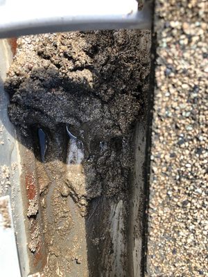 APS WINDOW & GUTTER CLEANING - Updated January 2025 - 29 Reviews