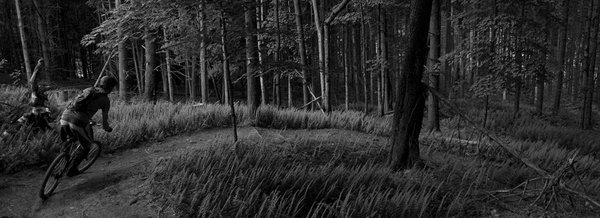 Chucks Bikes by null