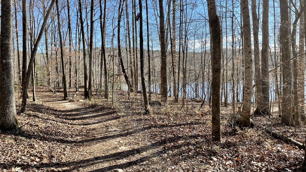 LAKE ZWERNER Updated September 2024 14 Photos Dahlonega, Hiking Yelp