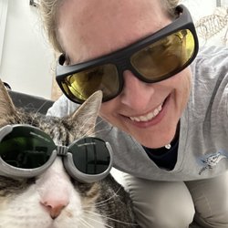 The Comfort Vet