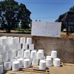 a pile of white buckets a pile of white buckets
