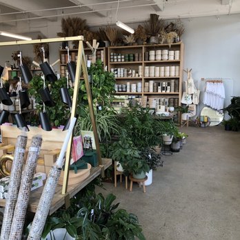 Grounded Plant & Floral - Nurseries & Gardening Near Me - Indianapolis, Indiana
