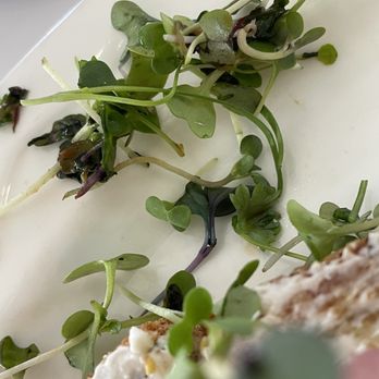 The Combine Kitchen - The black, wet, slimy greens on my salmon toast - Coffee & Tea Near Me - Rancho Cucamonga, California The Combine Kitchen - The black, wet, slimy greens on my salmon toast - Coffee & Tea Near Me - Rancho Cucamonga, California