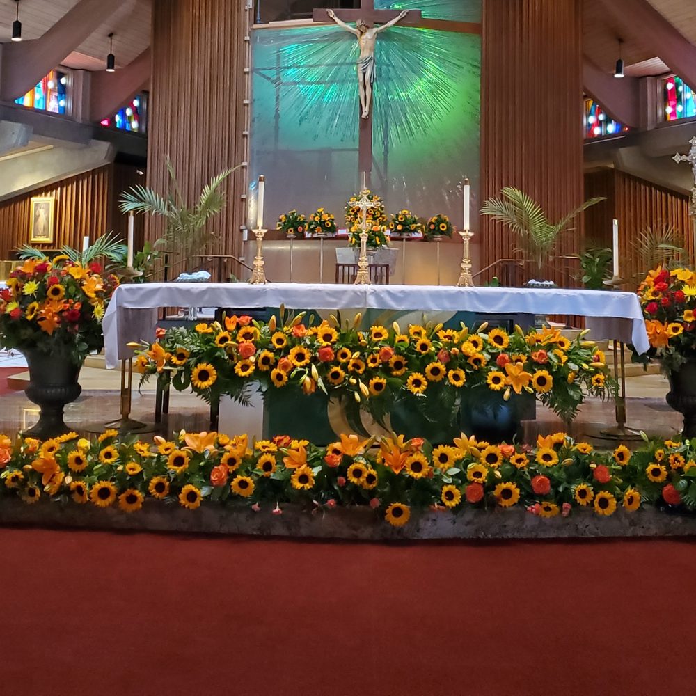 TOP 10 BEST Catholic Mass in Napa, CA - Updated 2026 - Yelp