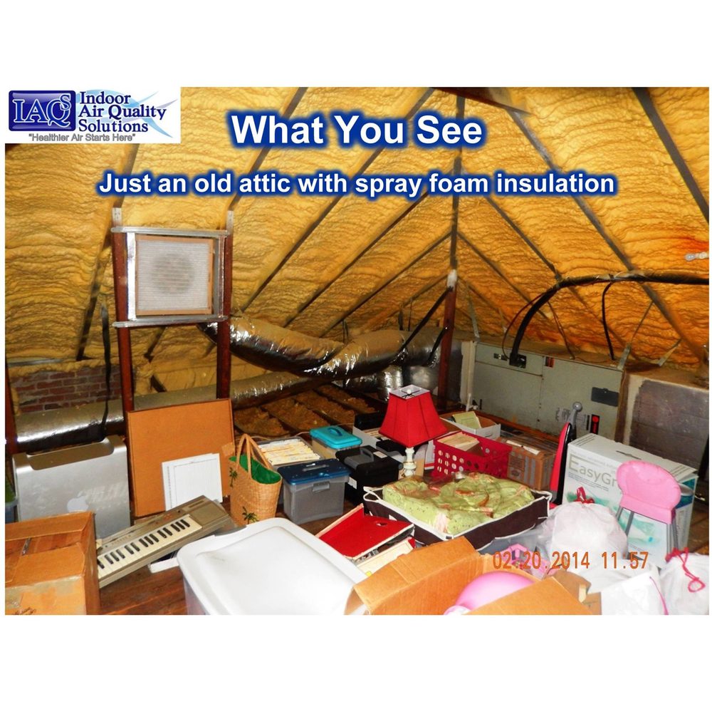 Indoor Air Quality Solutions - mold inspector in Sanford, FL